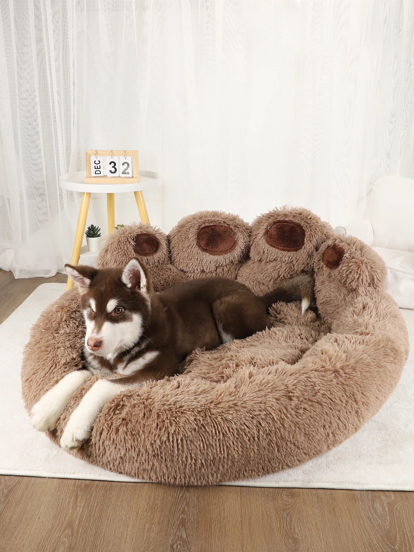 Queen Pet's Bed Queen Style