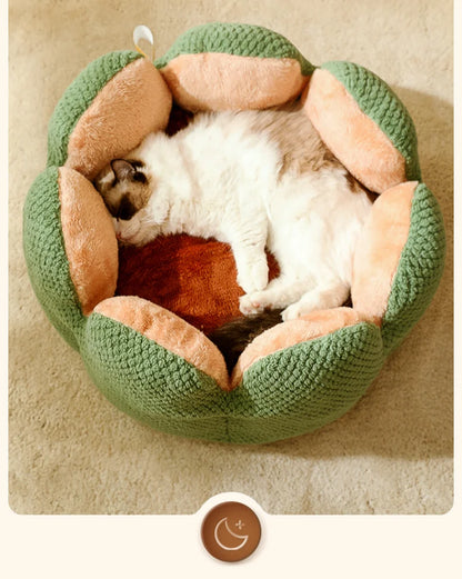 BuddyPet House Winter Warm and Comfortable Cat Bed New Cartoon Cactus