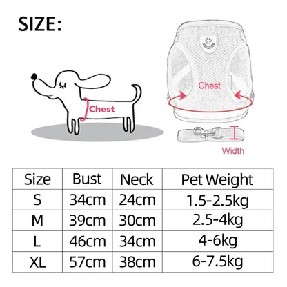 Cat's Leash / Body Harness
