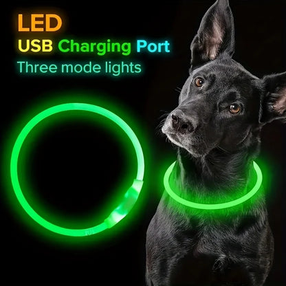 #Pet Dog LED Light Collar Luminous Anti-Lost Dog Collar USB Rechargeable Dog Necklace Collar