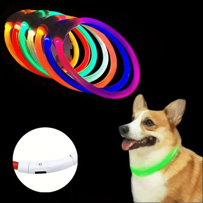 #Pet Dog LED Light Collar Luminous Anti-Lost Dog Collar USB Rechargeable Dog Necklace Collar